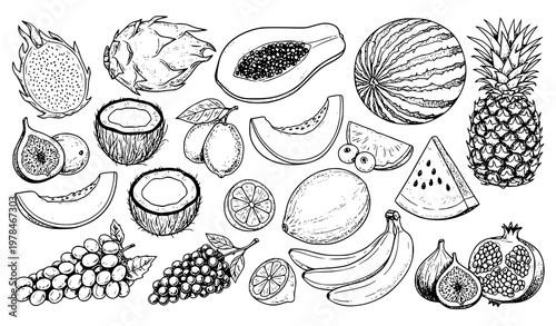Tropical fruits and berries hand drawn sketch collection natural food vector isolated on white background