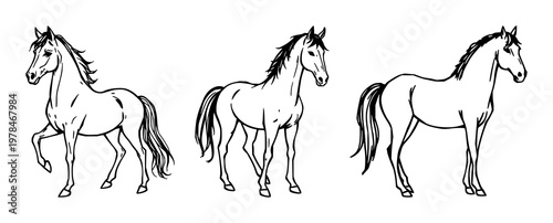 Puca set with sketchy black line art of a horse in a mystical forest featuring horse, shapeshifter, illustration with movement and fantasy