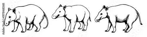 Baku set with hand‑drawn organic illustration featuring mystical, dream‑eating, animal character with ethereal line work and soft pastel shading