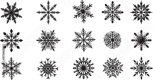 Collection of unique black snowflakes on white background illustration