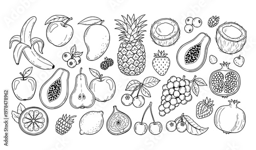 Hand drawn fruit doodle collection tropical garden fruits and berries vector isolated on white background