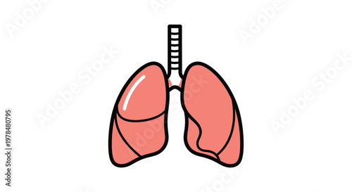 A simplified illustration depicts a pair of human lungs showcasing their basic shape and structure