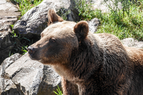 Ours