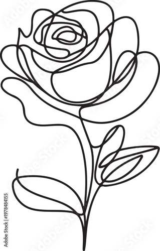 Line art of rose flower, black and white outline of rose flowers vector. one line Icon drawing