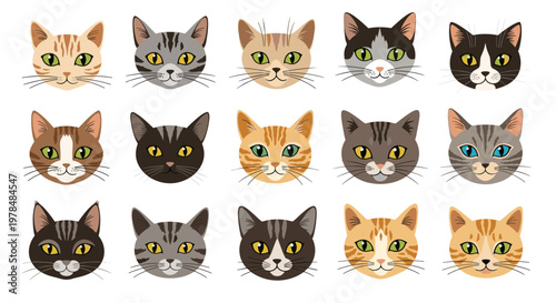 Large collection of fifteen different cat breed head illustrations with various fur patterns and colors on a white background.