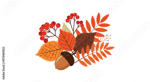 Beautiful autumn arrangement of colorful fall leaves red berries and a single brown acorn on a white background.