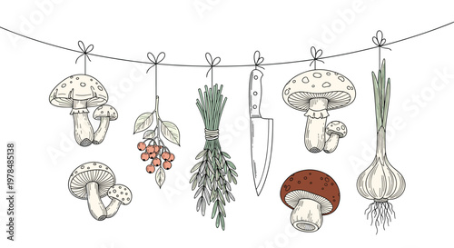 Rustic illustration of dried forest mushrooms, herbs, garlic, and a kitchen knife hanging from a simple string on a white background.
