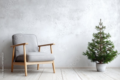 Minimalist armchair and potted fir tree against a textured wall.