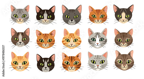 Diverse collection of fifteen illustrated cat faces showing various breeds colors and expressions arranged in a neat grid.