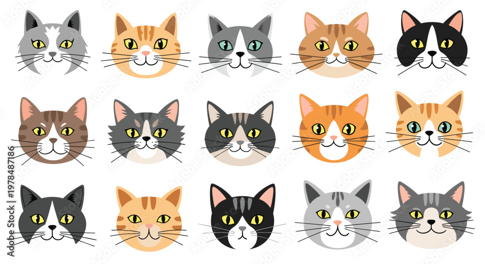Fototapeta premium Grid of fifteen diverse cat head illustrations showing different breeds and coat patterns including tabby, calico, black, and ginger felines.