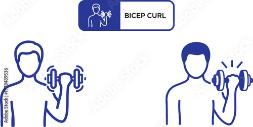 Bicep curl exercise illustration demonstrating proper form and technique