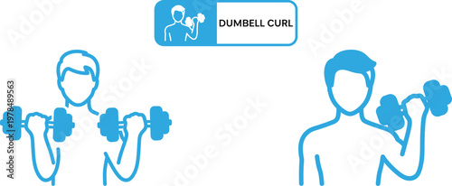 Fitness illustration demonstrating bicep curls with dumbbells for exercise guidance