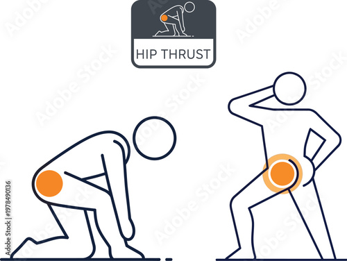 Hip thrust exercise illustration proper form and muscle engagement