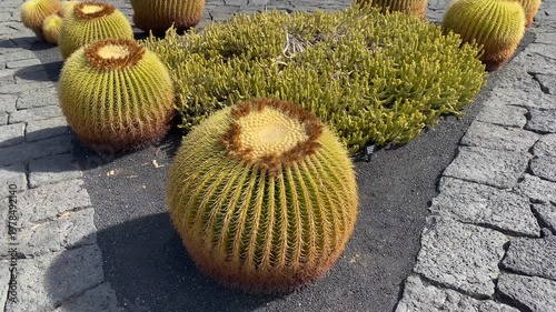 El Jardín de Cactus is the last great work of César Manrique
Teguise, Canary Islands, Spain
