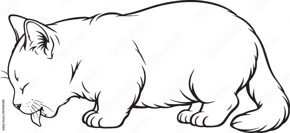 Obraz premium Munchkin Cat Drinking Posture Black and White Line Art Short Leg Cat Breed Vector Illustration