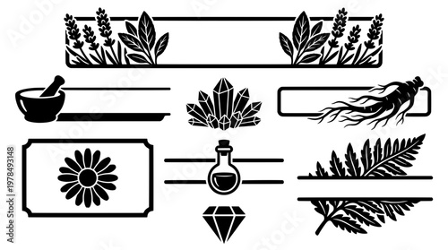 Black silhouette botanical text banners, apothecary labels and mystical crystal frame borders featuring ginseng, potion, and fern for natural design