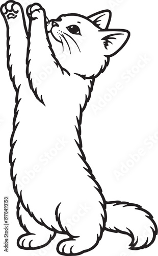 Munchkin Cat Reaching Up Front Paws Black and White Line Art Short Leg Cat Breed Vector Illustration