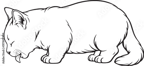 Foto Munchkin Cat Drinking Posture Black and White Line Art Short Leg Cat Breed Vecto