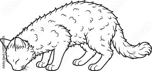 Bild auf Leinwand LaPerm Cat Eating Posture Focused Behavior Black and White Line Art Illustration