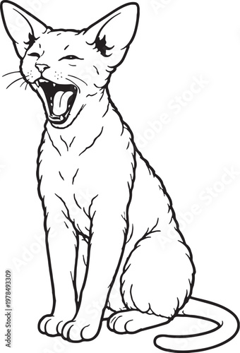 Devon Rex cat yawning sitting tired pose black and white line art isolated