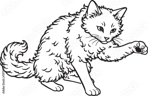 Fotografie LaPerm Cat Batting Paw Playful Feline Gesture Black and White Line Art Illustrat