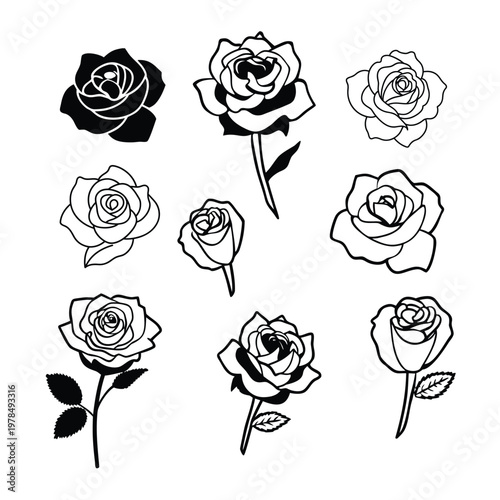 Elegant Rose Continuous Line Drawing Collection for Minimal Floral Design