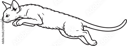 Devon Rex cat mid air leap jumping black and white line art isolated