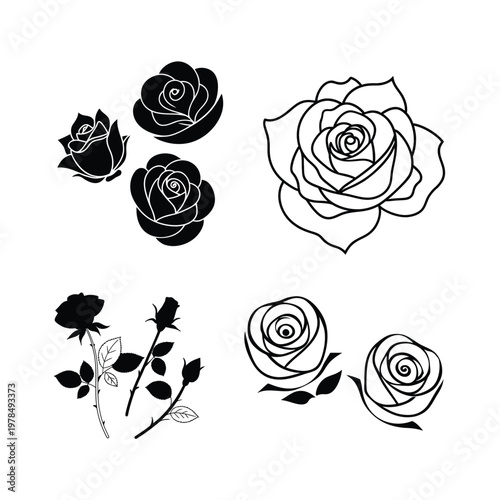Elegant Rose Continuous Line Drawing Collection for Minimal Floral Design