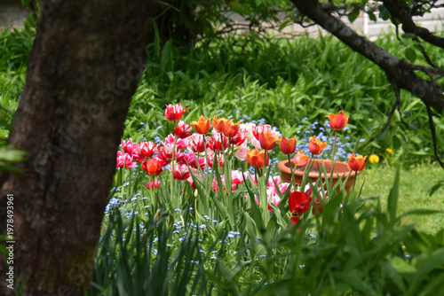 The garden in spring, Sainte-Apolline, Québec, Canada