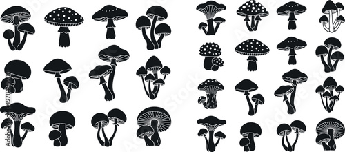 Black and White Mushroom Set with Various Shapes and Sizes for Nature and Fungi Illustrations