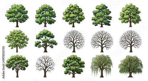Green deciduous trees collection, 15 vector tree icons with summer foliage and bare winter branches, flat nature design elements in EPS format
