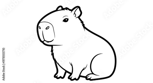 Graphic Representation of a Capybara Outlined Mammal Depiction Suitable for Educational Materials Digital Art and Children's Literature Showcasing Creature Anatomy.