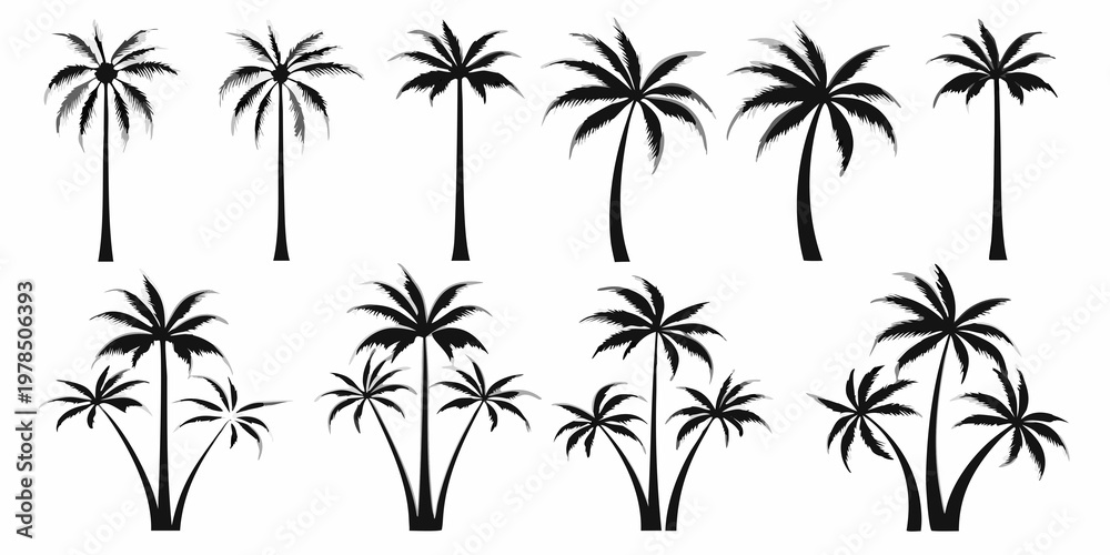 Fototapeta premium Collection of black silhouette palm trees in varying heights and groupings