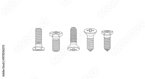 A collection of five different types of screws displayed in a simple black and white sketch