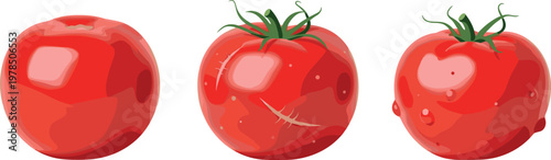 Fresh red tomatoes set with realistic glossy texture and green leaves, whole ripe vegetable collection isolated on white background vector illustration