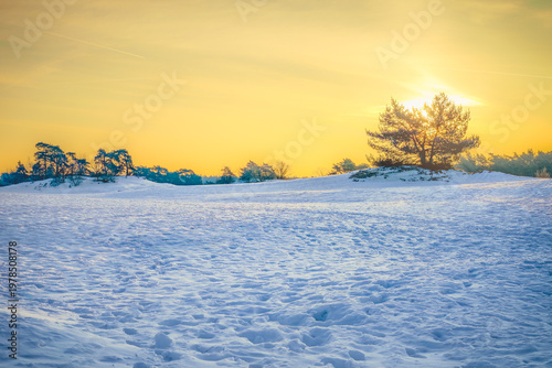 Golden sun melts into crisp winter snow, painting the sky.