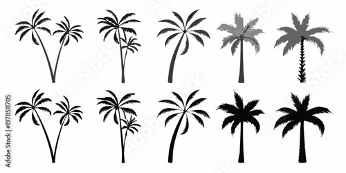 A collection of various black palm tree silhouettes against a white background