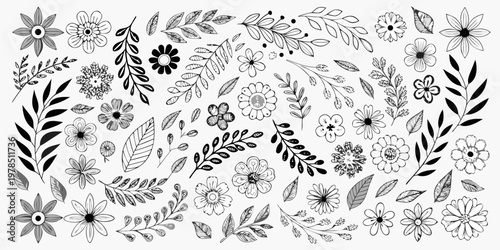 Hand drawn botanical illustration of various flowers and leaves