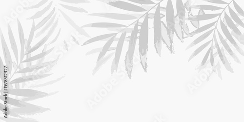 Delicate leaf shadows cast across a bright white background