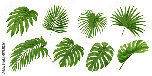 Quadro su tela Collection of vibrant green tropical leaves in a botanical arrangement