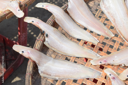 Dried fish infested with insects