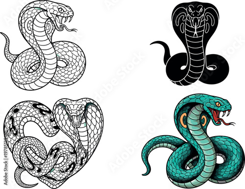 Cobra snake vector set featuring detailed line art, silhouette and colored venomous serpent illustrations isolated wildlife design collection