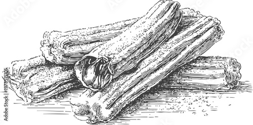 dried rhubarb stalks detailed hand drawn illustration of medicinal plant roots