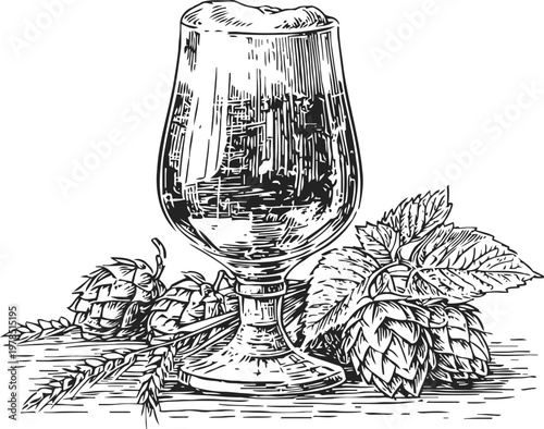 hand drawn beer glass with foam, hop cones and barley ears vintage illustration