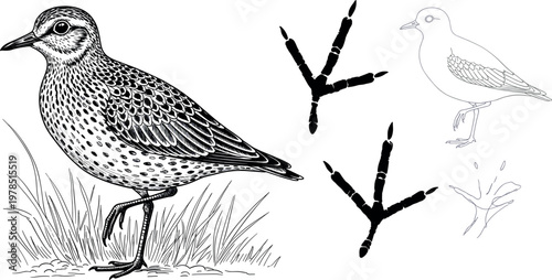 Computer screen with code and system logs terminal interface programming and debugging process technology concept digital workspace