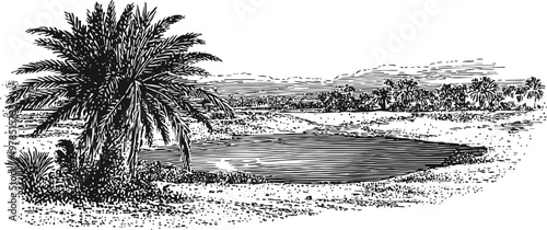 Vintage desert oasis landscape with palm trees and tranquil water body illustration