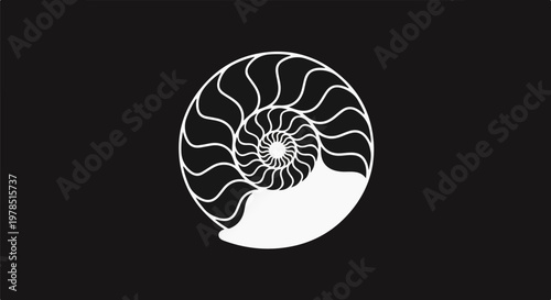 White nautilus shell spiral graphic on a black background