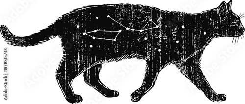 Black cat silhouette with white outlined constellation patterns, mystical astrology design