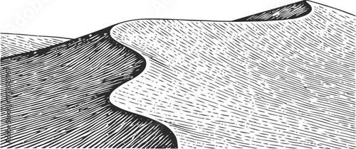Black and white sand dunes illustration with detailed textured lines and wave patterns