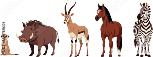 Chicken and rooster vector set with ducks and chef mascot cartoon farm poultry illustration collection isolated design elements